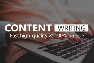 write high quality seo friendly blog post for your business