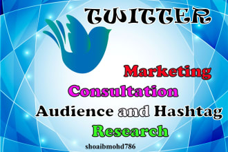 do twitter consultation and audience research