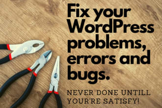 fix wordpress bugs, errors or issues