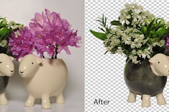 cut out images, background removal professionally