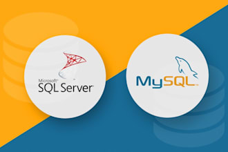 design databases, write queries procedures in sql