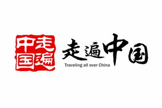design a chinese seal logo or calligraphy