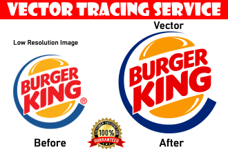 create vector from any image, sketch or scan file