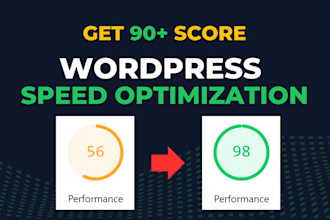 do wordpress speed optimization for pagespeed insights