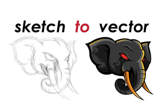 convert your sketch to vector ai,eps,svg,pdf