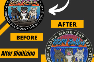 do embroidery digitizing design into dst pes emb file in 1 hour