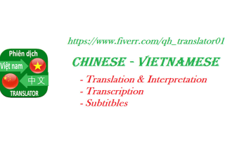 translate video subtitles english chinese to vietnamese