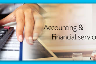 help in financial accounting and finance and auditing