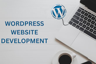 professional wordpress theme installation and customization