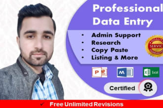 do any type of data entry and ms word and excel work