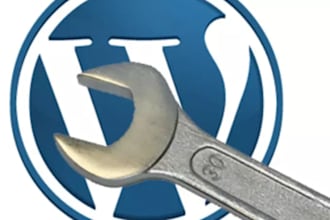 fix your wordpress CSS issue