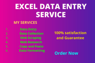 do perfect excel  data entry work
