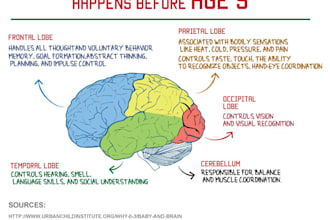 assist in your early childhood tasks