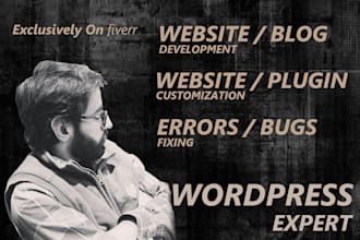 identify and fix wordpress bugs issues or errors for you