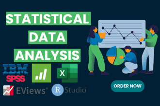 statistical analysis service spss, rstudio, minitab, eviews, excel