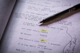 provide notes and analysis on your screenplay or script