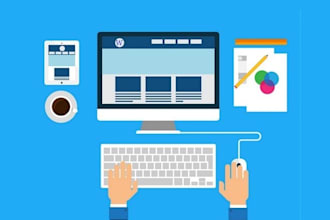 develop wordpress website for you