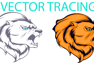 convert to vector, vector tracing,vector illustration,images