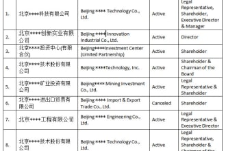 do directorship check in mainland china
