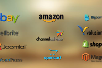 10k traffic for ebay, amazon store sales and promotion