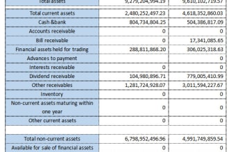provide financial statements of company in mainland china
