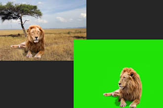 remove the greenscreen and edit your video within 24hrs