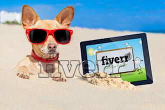 promote your dog logo on laptop with funny dog on beach