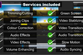do professional video editing within 24 hours