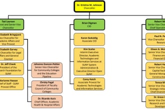 do org charts in visio and powerpoint
