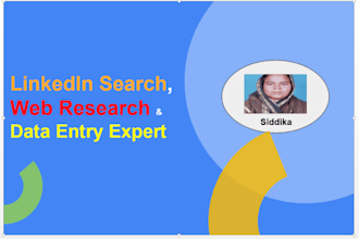 do linkedin search, web research and data entry
