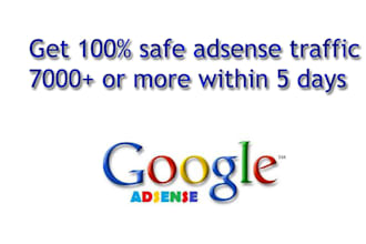 give Safe Adsense Traffic 1000+ per day for 5 days
