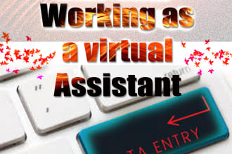 perform data entry tasks, web scraping and file conversion