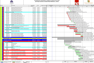 create a gantt chart using primavera p6 or ms project