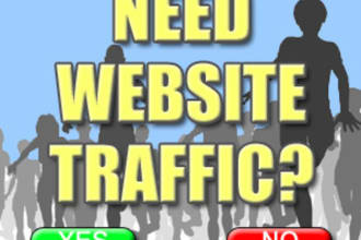 show You How To Get Over  1,000 USA Targeted Traffic To Your Website Or Blog