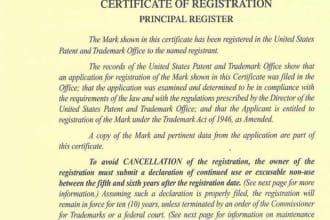 conduct a professional trademark search anywhere in the world