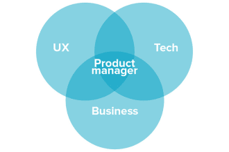 do product management activities including strategy, roadmap, requirement