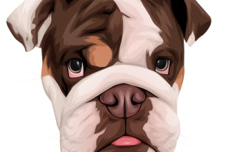 draw your pets into  cartoon portrait