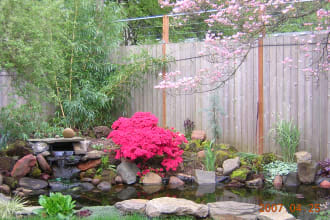 draw custom garden designs and detailed plant lists