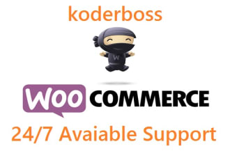 build fix optimize wordpress woocommerce website
