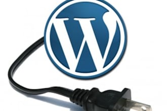 create wordpress plugin for you