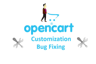 fix any issues and bugs in opencart store