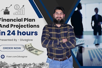 create an investors financial plan and model in one day