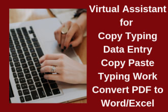 do fast data entry for you or data taping in low price