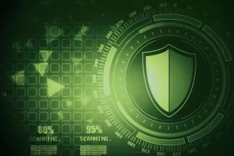 perform penetration testing and vulnerability scan of your website