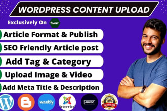 do content upload, article post on blog or wordpress website