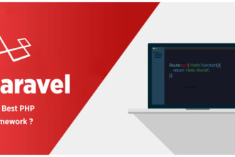 develop your website with laravel