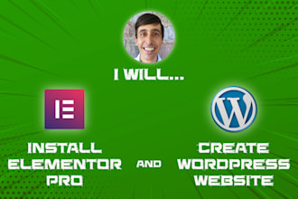 install elementor pro and create wordpress website