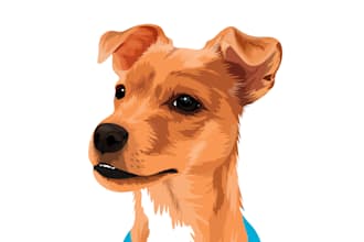 draw your dogs or any pets into cartoon portrait