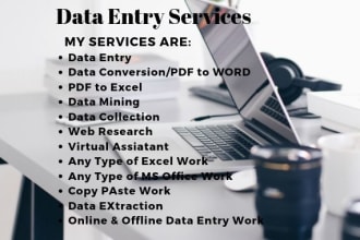 do any type of data entry, web scraping, data mining and web research