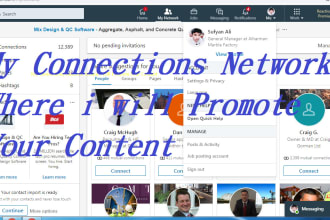do linkedin promotion on my 14000 plus network